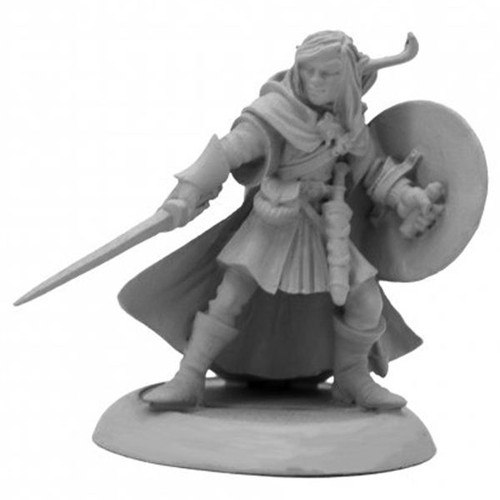 Dungeon Dwellers: Elf Adventurer: Elnethir