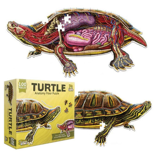 Puzzle: Turn N Learn: Turtle 100pc