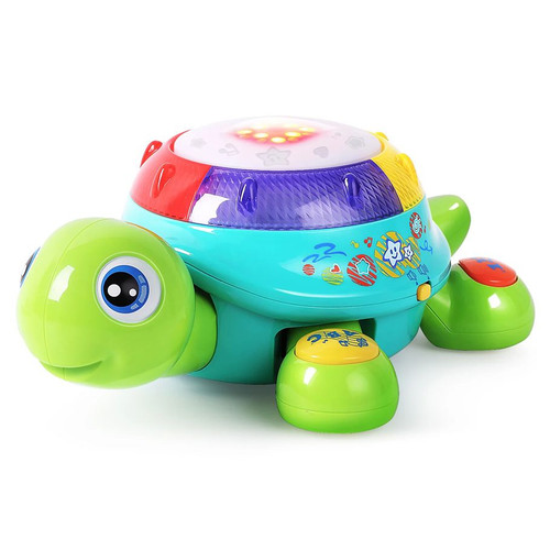 Musical Turtle