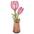 Pink Tulip