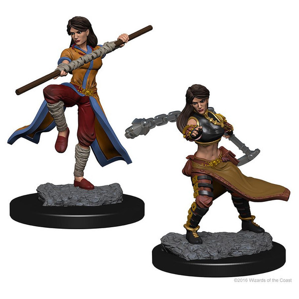 D&D: Nolzur's Marvelous Minis: Human Female Monk W1