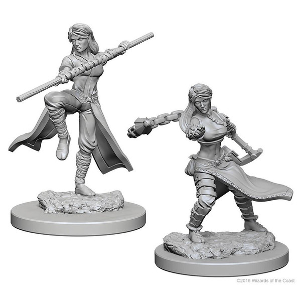 D&D: Nolzur's Marvelous Minis: Human Female Monk W1