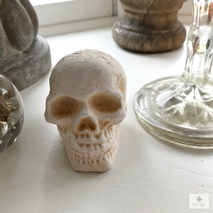 Small Cast Iron Skull