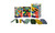 Kendra Dandy Adhesive Bandages
