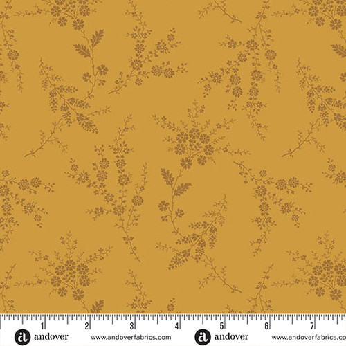 Secret Stash Favorites - Amber Spruce Amber