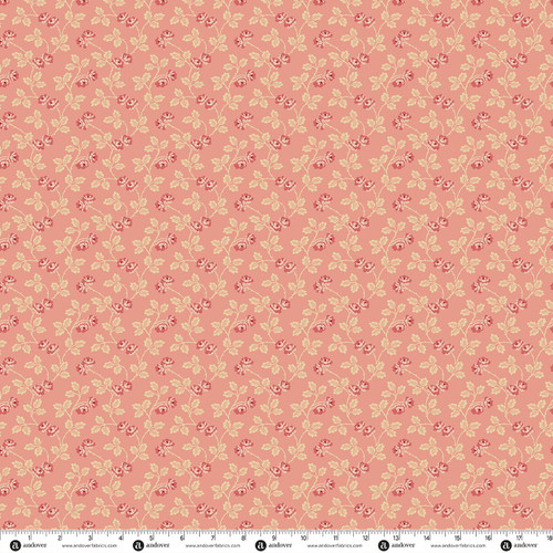 Plum Creek by Little House on the Prairie® Rambling Rose