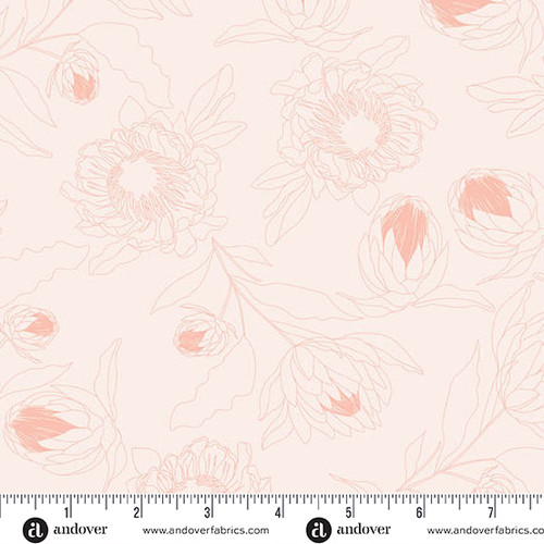 Color Me Whispered by Stephanie Organes Protea Whisper Light Salmon