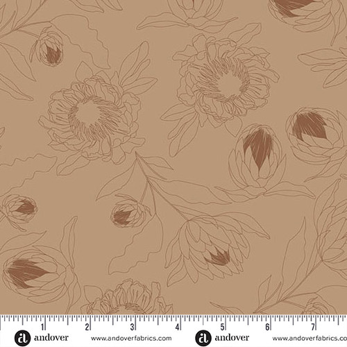 Color Me Whispered by Stephanie Organes Protea Whisper Mocha