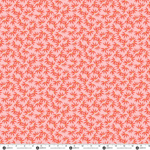 Bloom and Grow by Amy Latta Daisy Dance Carnation
