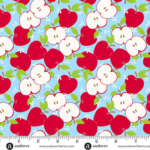 Back to School by Seek to Spring Apples Sky