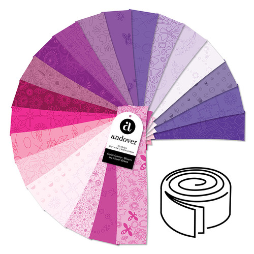 Color Camp - Bloom - 2.5 Inch Strip Roll - 40 Cuts Each
