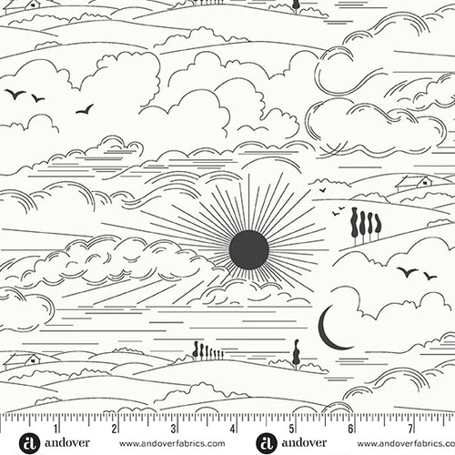 Sun Print Whisper by Alison Glass Dwell Zebra