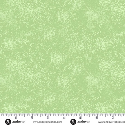 Thousand Steps by Sarah Maxwell Sand palm