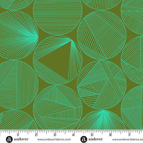 40 by Giucy Giuce Petri Turtle Power