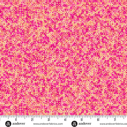 Mollys Magic by Sarah Maxwell Fairy Rings Gerbera