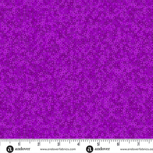 Mollys Magic by Sarah Maxwell Fairy Rings Aster