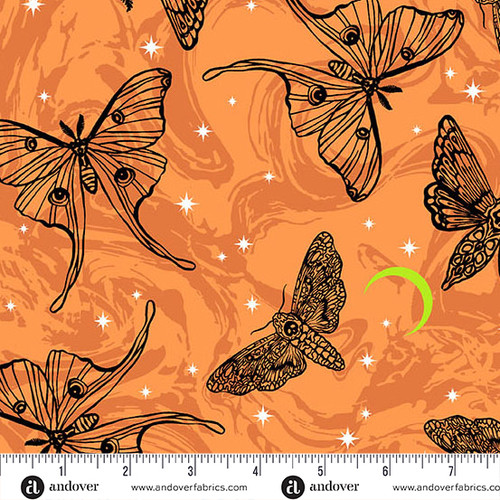 Phantasm by Libs Elliott Mystic Moths Flame