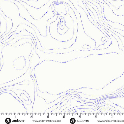 Sun Print Whisper by Alison Glass Topography Pond