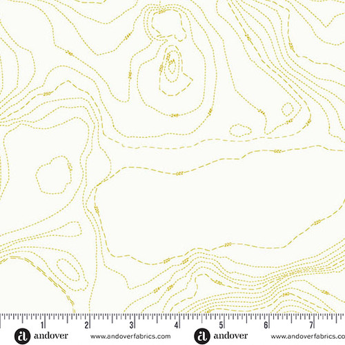 Sun Print Whisper by Alison Glass Topography Chartreuse