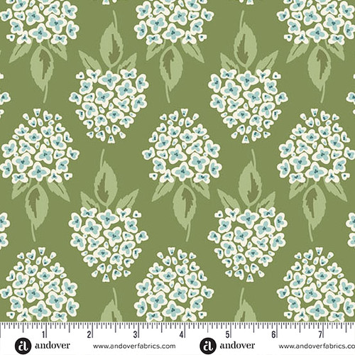 Heartland by Judy Jarvi Hydrangea Evergreen