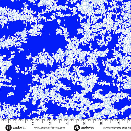Amsterdam by Libs Elliott Lekker Delftware