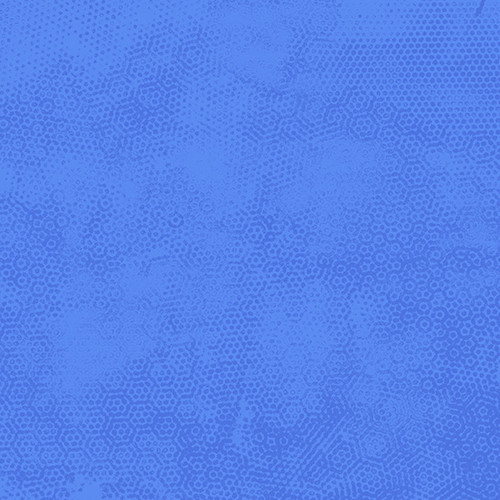 DIMPLES Dimples Delphinium