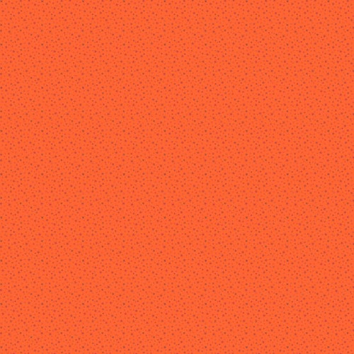 Pumpkin Spice by Renee Stars Orange