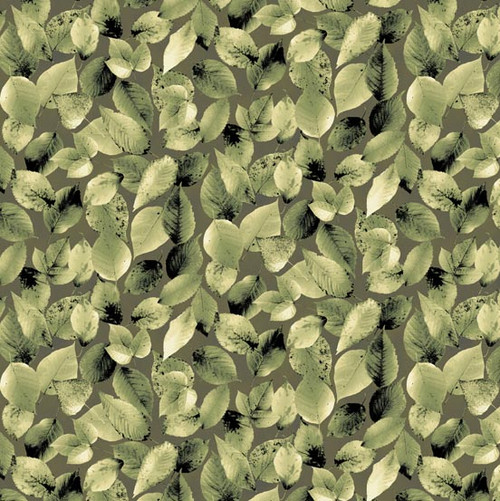 Northwoods by Kathy Hall