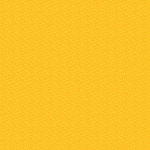 Over The Rainbow Tulips Yellow