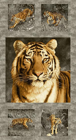 Tiger Kingdom - A Great Outdoors Collection by Kathy Hall Tigers Charcoal