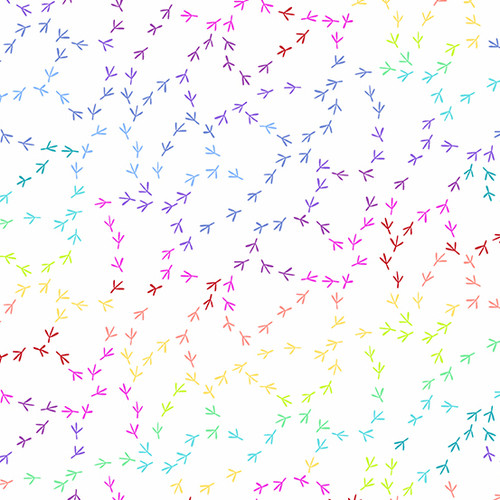 Chicken Tracks by Kim Schaefer Rainbow Chicken Tracks Rainbow White