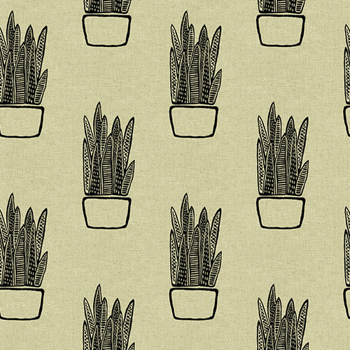 Tiger Plant by Sarah Golden Snake Plant on Tailored Cloth Light