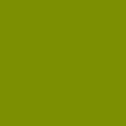 Century Solids by Andover Fabrics Century Solids Guacamole