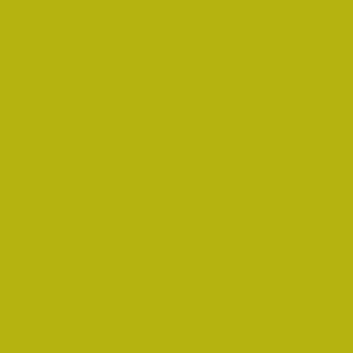 Century Solids by Andover Fabrics Century Solids Margarita
