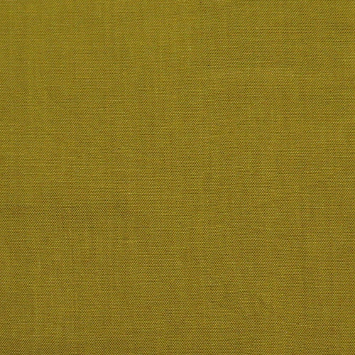 Kaleidoscope by Alison Glass Kaleidoscope Lichen