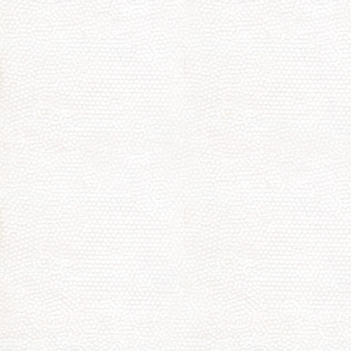 DIMPLES Dimples Snow