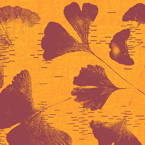 Geishas and Ginkgos  Printed Chambray