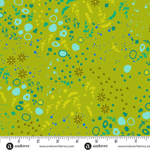 Sun Print 2026 by Alison Glass Eqanimity Toad