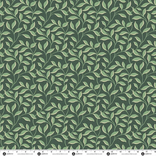 Secret Stash Favorites - Chestnut Morning Glory Spruce