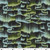Nordic Solstice by Gudrun Erla of GE Designs Borealis Polar Night
