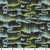 Nordic Solstice 108s by Gudrun Erla of GE Designs Borealis 108 Polar night