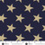 Fredericksburg Revisited by Jo Morton Star Spangled Indigo