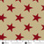 Fredericksburg Revisited 108s by Jo Morton Star Spangled Lace