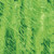 The VHC Classics Fingerpainting Green