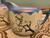 Vintage Japanese Orange Blossom Art Pottery Porcelain Sugar Bowl & Creamer Set