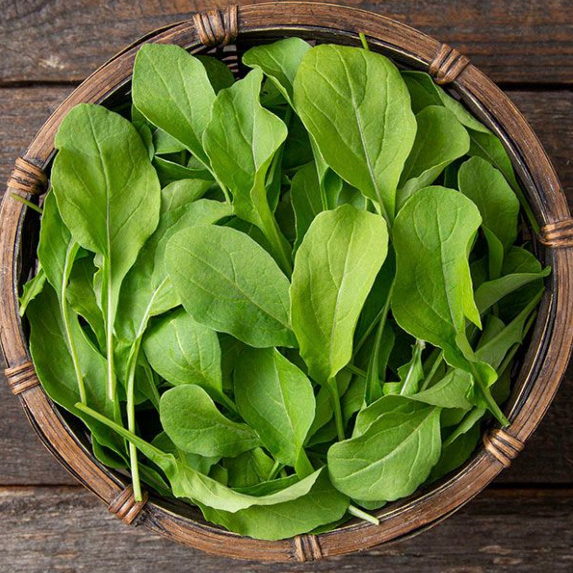 High Mowing Seeds Astro Arugula Seeds