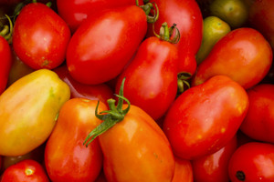 Roma Tomatoes