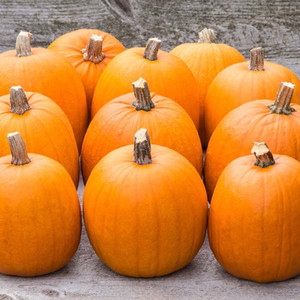 New England Pie Pumpkin Seeds - 1/8 OZ