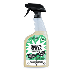 Laundry Stain Remover Spray - 16fl oz Laundry Stain Remover Spray - 16fl oz