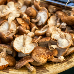 Mushrooms - Shiitake - avg 0.5lb